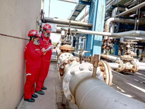 研发ldar数据采集软件，助力天然气处理厂高端市场开发